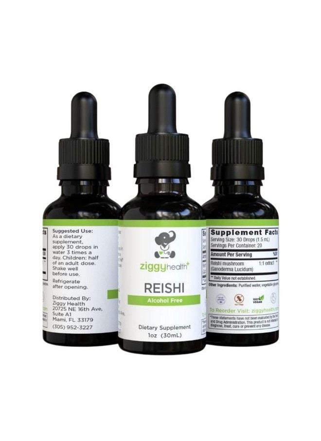 Ziggy Baby - Reishi Mushroom Extract Liquid Tincture Supplement For Immunity Defense & Brain Support Support Healthy Liver Function Energy Booster Reduce Inflammation & Sleep Better 1Oz By Ziggy Health - Image 1