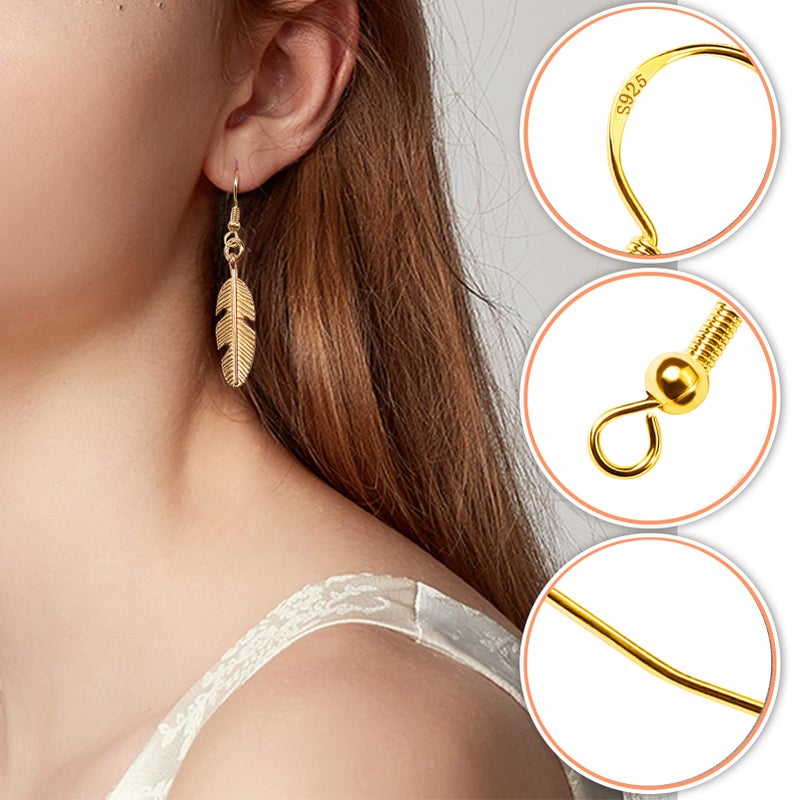 TOAOB THE ONE AND ONLY BABY TOAOB 140pcs Earring Hooks Hypoallergenic 925 Sterling Silver Fish Hooks Ear Wires with Ball and Coil 7 Colors 18mm Earring Parts with Earring Backs for DIY Jewelry Making - Image 4