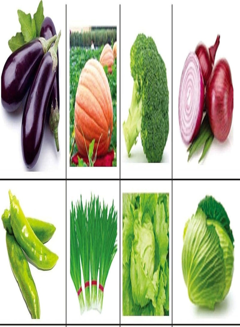 جي جوت مجموعة غير معدلة وراثيًا مكونة من 15 نوعًا من بذور الخضروات الخضراء الشائعة وسهلة الزراعة، 1500 قطعة من بذور الخضروات المختلطة - الباذنجان والفلفل والثوم المعمر والفاصوليا الخضراء والخيار والبروكلي والقرع المر والبصل الأحمر. - Image 2