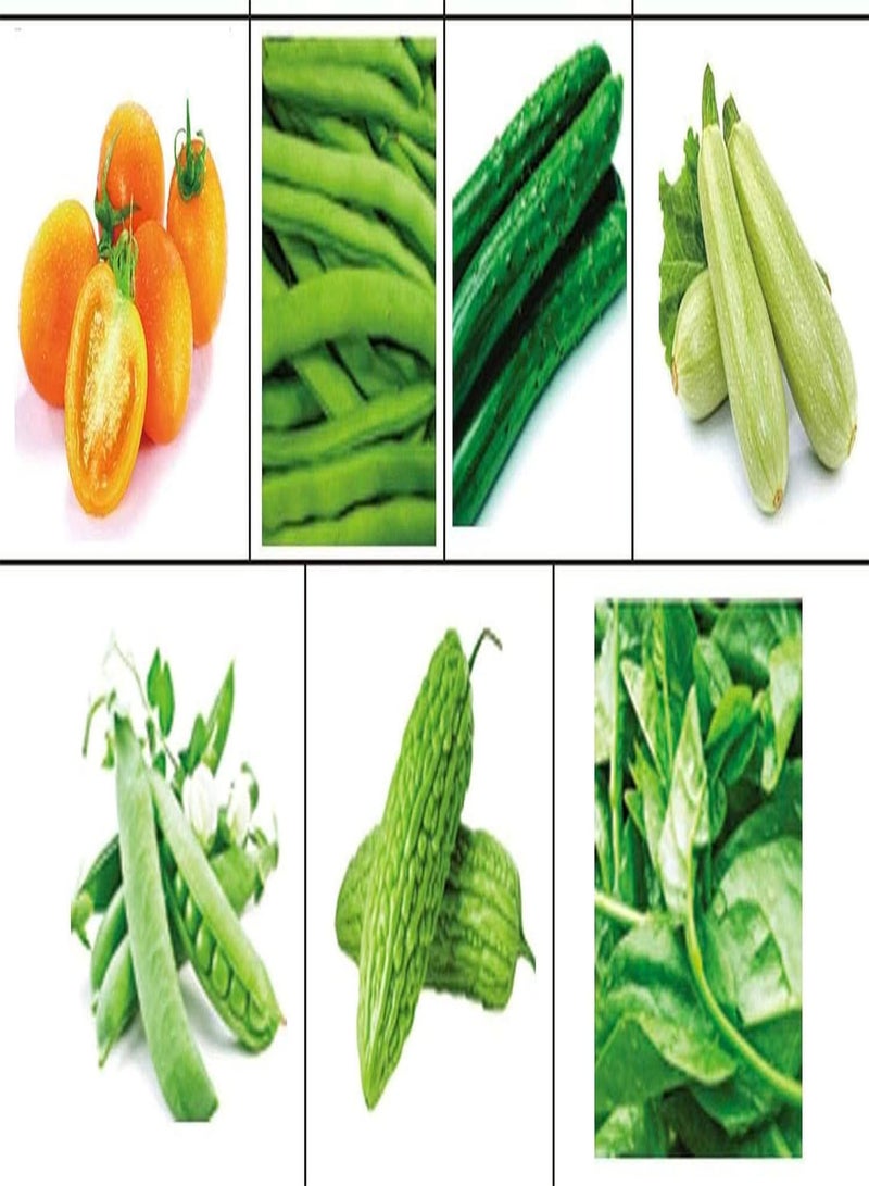 جي جوت مجموعة غير معدلة وراثيًا مكونة من 15 نوعًا من بذور الخضروات الخضراء الشائعة وسهلة الزراعة، 1500 قطعة من بذور الخضروات المختلطة - الباذنجان والفلفل والثوم المعمر والفاصوليا الخضراء والخيار والبروكلي والقرع المر والبصل الأحمر. - Image 3