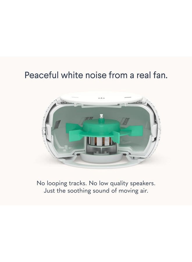 SNOOZ Pro - Smart White Noise Machine & Travel Case - Real Fan Inside, Non-Looping White Noise, Adjustable Tone & Volume - App-Based Remote Control & Sleep Timer (Cotton) - Image 3