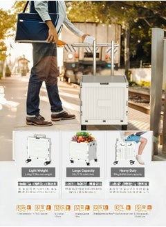 Generic Marketero Collapsible Shopping Box Trolley on Wheels 4 Wheels 360°Rotate Folding Teacher Trolley Cart with Wheels Heavy Duty 30kg Capacity & Telescopic Handle for Camping Shopping Grey  - Image 2