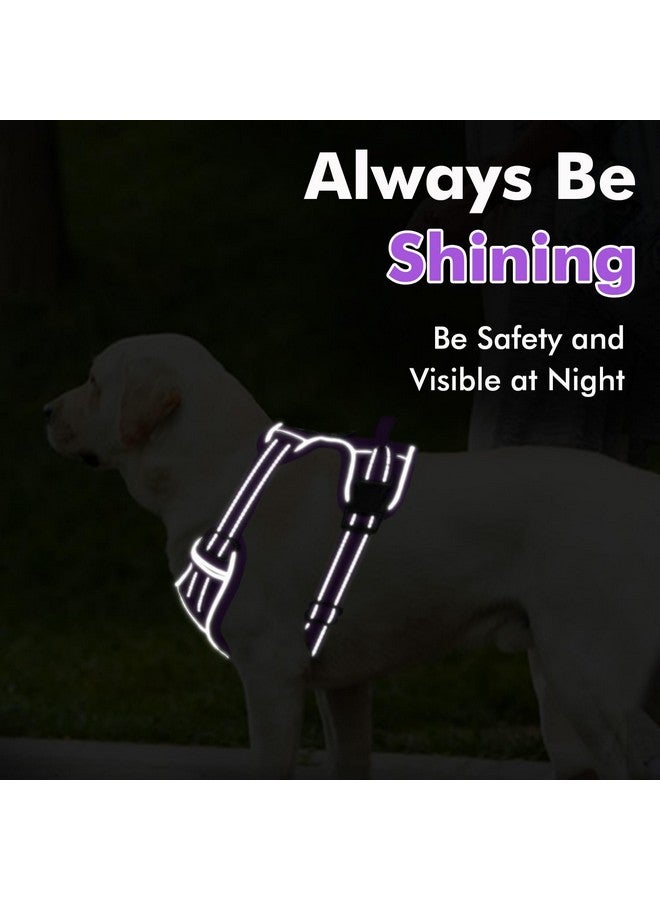 Joytale Joytale Step-in No Pull Dog Harness for Small Dogs with 2 Leash Clips, Reflective Pet Vest with Easy Control Handle, Adjustable Soft Padded Harness for Walking and Training, Purple,S  - Image 5