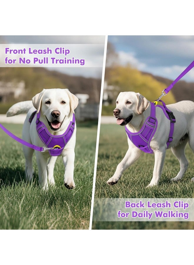 Joytale Joytale Step-in No Pull Dog Harness for Small Dogs with 2 Leash Clips, Reflective Pet Vest with Easy Control Handle, Adjustable Soft Padded Harness for Walking and Training, Purple,S  - Image 2