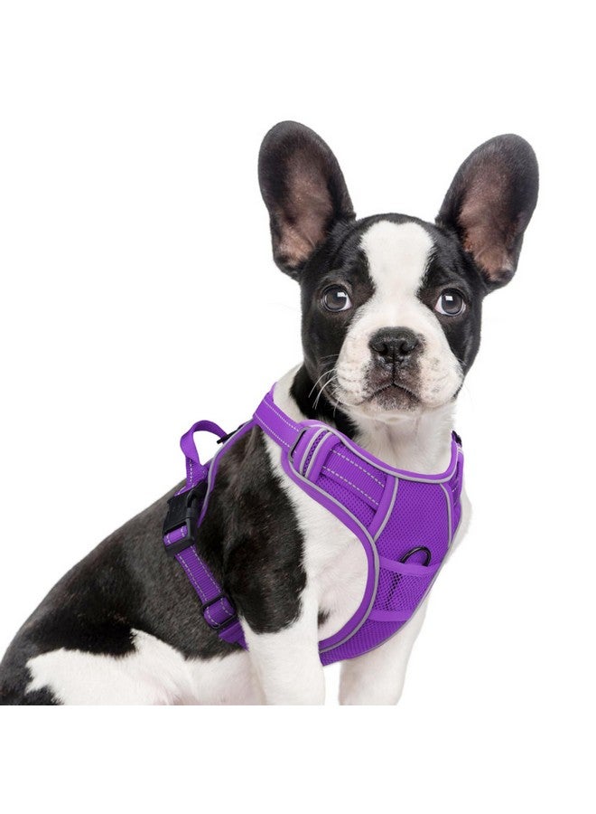 Joytale Joytale Step-in No Pull Dog Harness for Small Dogs with 2 Leash Clips, Reflective Pet Vest with Easy Control Handle, Adjustable Soft Padded Harness for Walking and Training, Purple,S  - Image 1