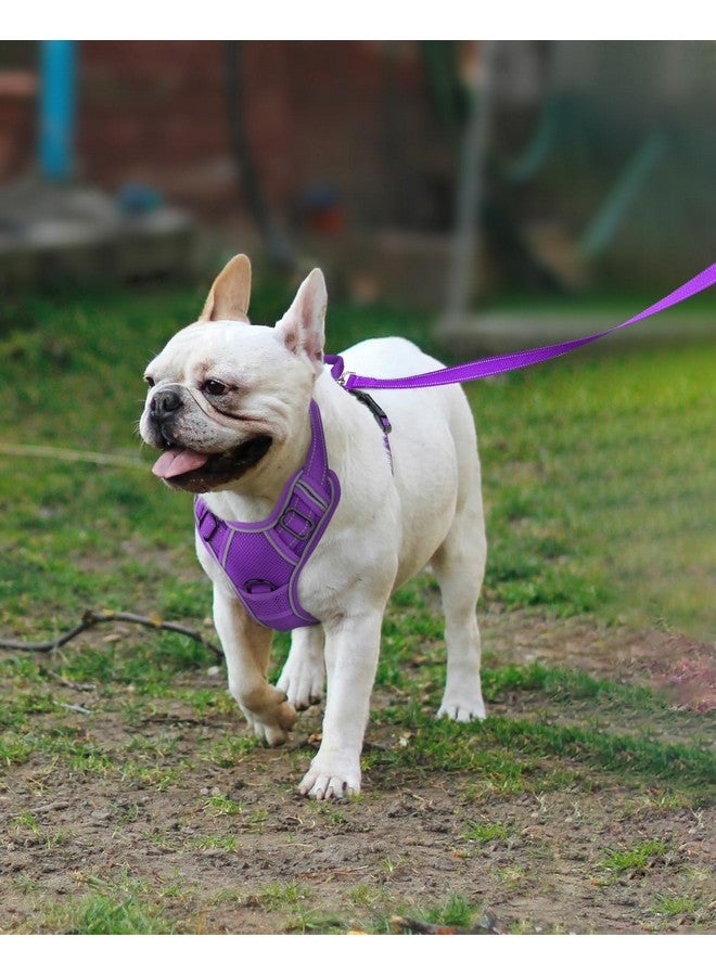 Joytale Joytale Step-in No Pull Dog Harness for Small Dogs with 2 Leash Clips, Reflective Pet Vest with Easy Control Handle, Adjustable Soft Padded Harness for Walking and Training, Purple,S  - Image 4