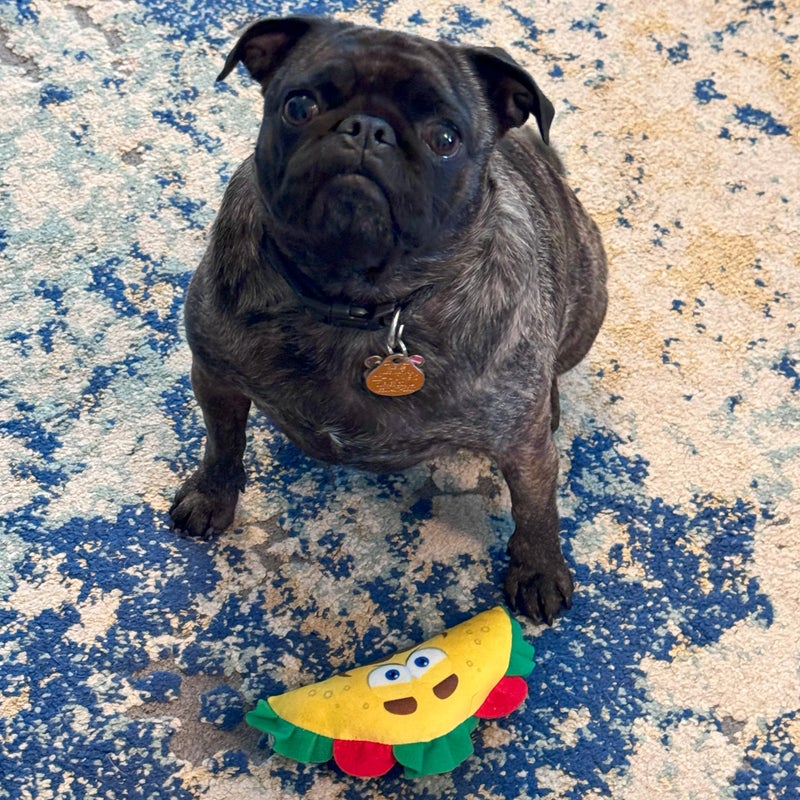 SPOT Fun Food Taco Plush Dog Toy with Squeaker - Interactive Soft, Squeaky Toy for Dogs and Puppies, Keeps Pets Entertained, Cute and Funny Chew Toy Made with Soft Fabric - 6in - Image 5
