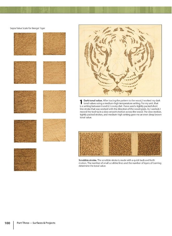 The Art & Craft of Pyrography: Drawing with Fire on Leather, Gourds, Cloth, Paper, and Wood