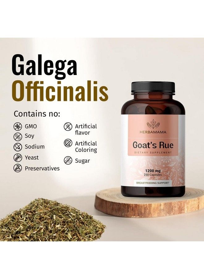 HERBAMAMA - Goat Rue Capsules Galega Officinalis Nutritional Supplement 1200 Mg 250 Capsules Promotes Milk Flow Lactation & Mammary Tissue Development Nongmo Support For Breastfeeding - Image 1