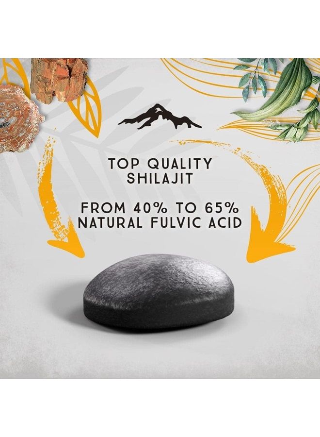 Pure Himalayan Shilajit قطرات شيلاجيت الجافة - 120 قطعة، غنية بحمض الفولفيك الطبيعي، شيلاجيت سيبيري أصلي، نقي بنسبة 100%، مركب من المعادن النادرة - Image 2