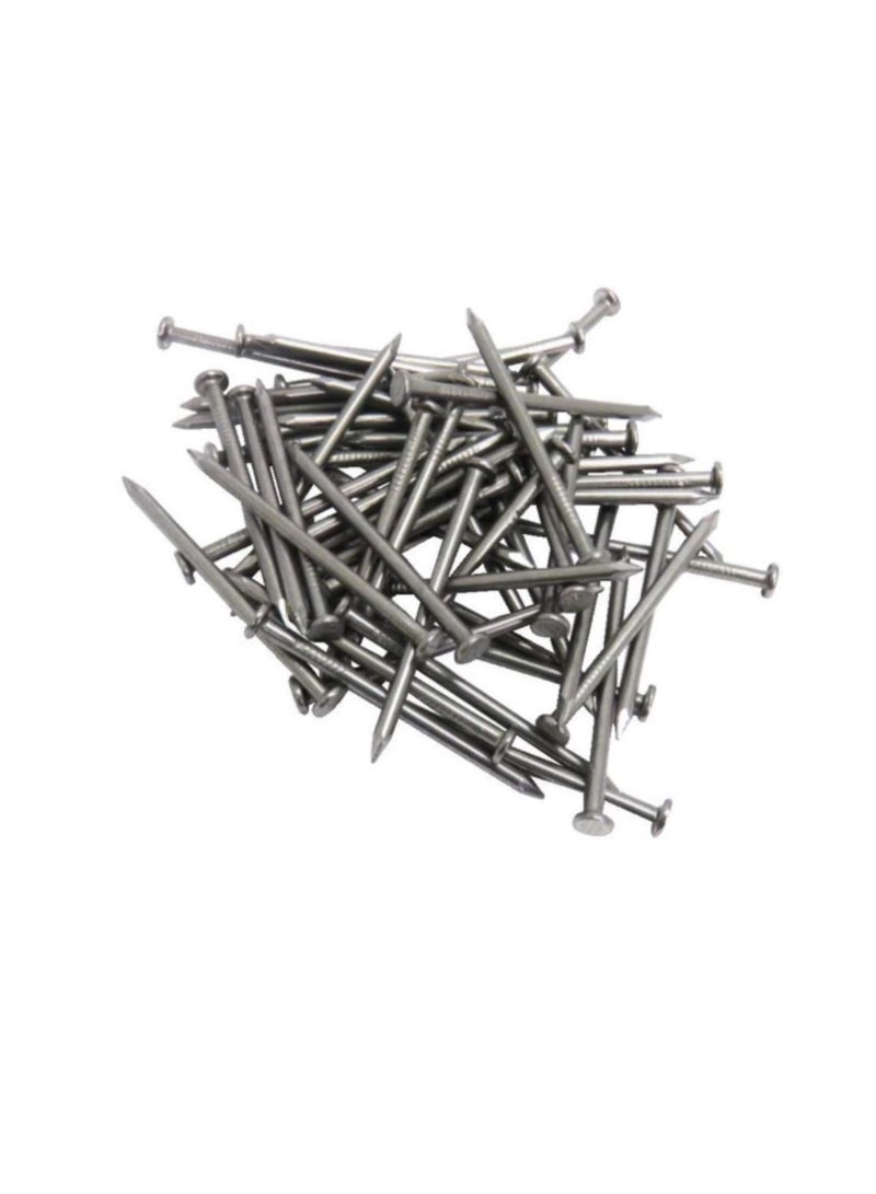 High Strength Round Head Nails For Carpentry Hardware Electrical Etc (600, 3/4 inch) - Image 2