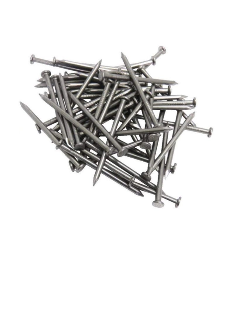 High Strength Round Head Nails For Carpentry Hardware Electrical Etc (600, 3/4 inch) - Image 1