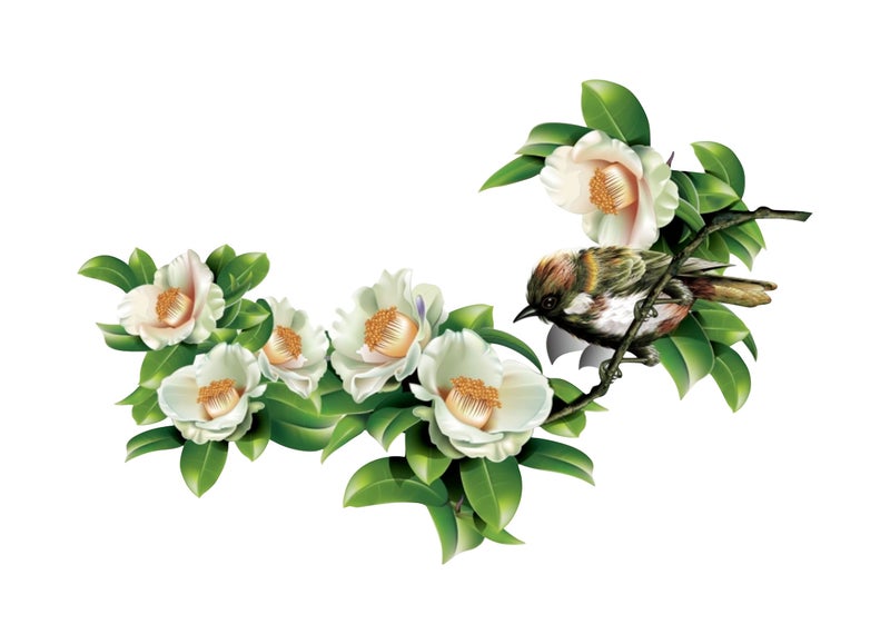 Dreamkraft Beautiful White Flower with Birds Wall Sticker for Home Decor, Drawing Room (Multicolor, PVC Vinyl 79 x 48cm) - Image 1