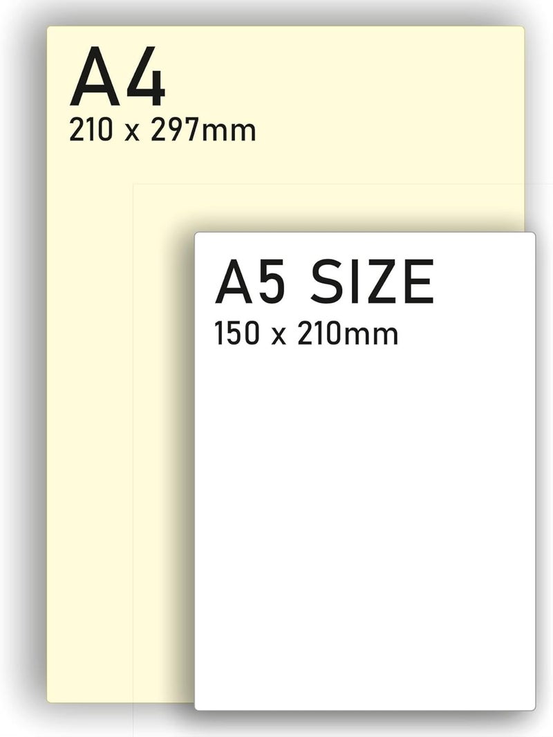 doodlecards بطاقة عيد ميلاد ابن العم "" باقة زهور وهدية، حجم متوسط مع ظرف عادي - Image 5
