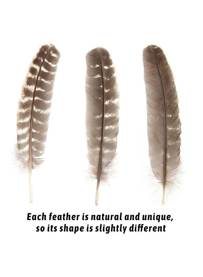 CCINEE 15pcs Natural Turkey Feather, 10-11 Inches Wild Turkey Feathers for Craft Costume Bridesmaid Corsage Wreath and Home Decoration - Image 3