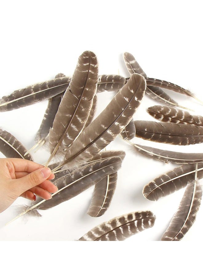 CCINEE 15pcs Natural Turkey Feather, 10-11 Inches Wild Turkey Feathers for Craft Costume Bridesmaid Corsage Wreath and Home Decoration - Image 4