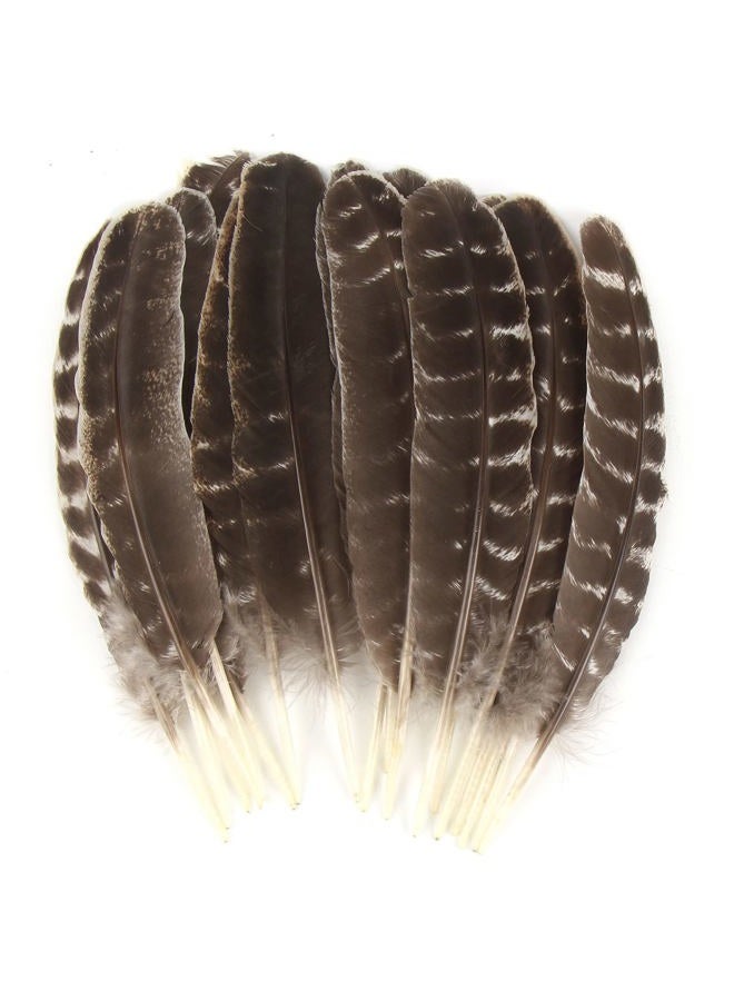 CCINEE 15pcs Natural Turkey Feather, 10-11 Inches Wild Turkey Feathers for Craft Costume Bridesmaid Corsage Wreath and Home Decoration - Image 1