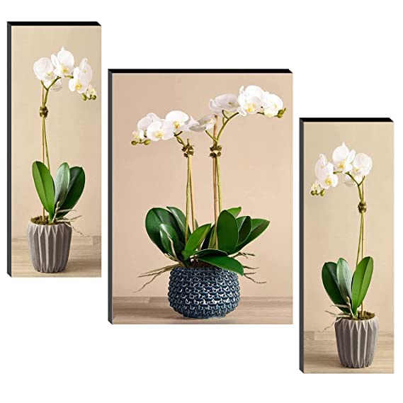 HELGA Floral Pots UV Textured MultiEffect MDF Framed Wall Painting For Living Room Multicolour 12 Inch x 18 Inch WAGJM70026 6 mm Set of 3