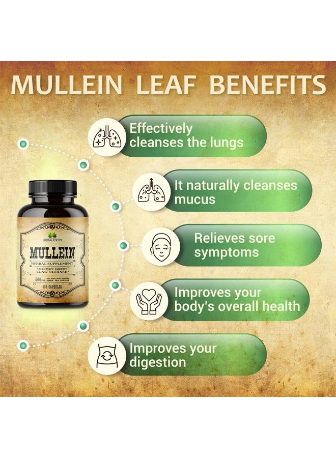 HERBALICIOUS Mullein Leaf Capsules - Verbascum Thapsus Supplement - Herbal Extract Promoting Lung Respiratory & Digestive Wellness - Lung Cleanse & Detox Support Pills - Vegan Non-GMO, 100 Capsules  - Image 4