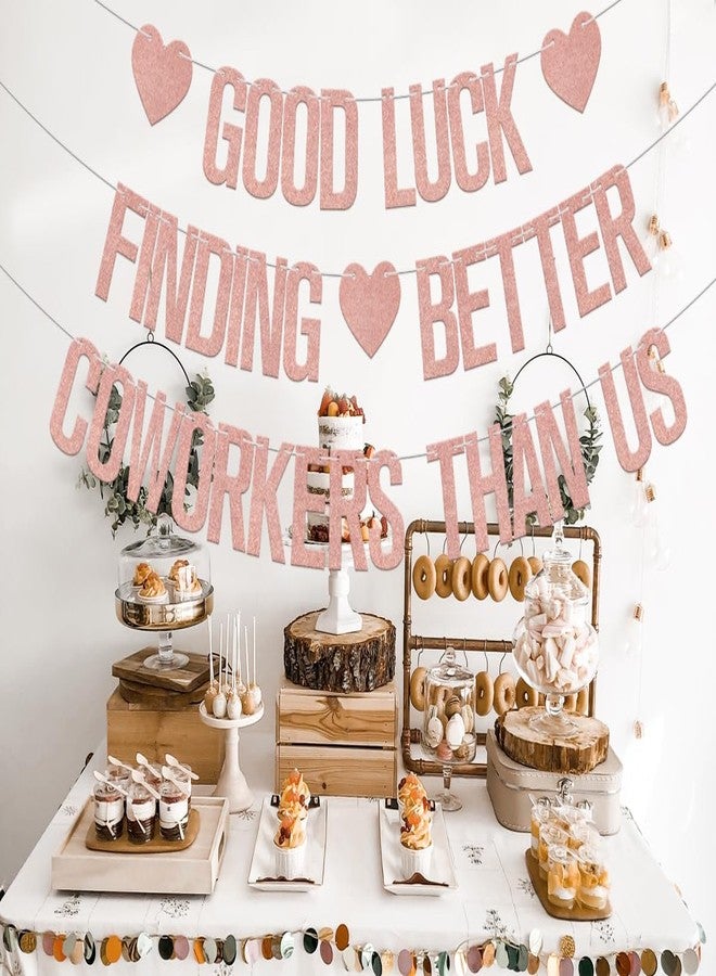 WFKLDF Good Luck Finding Better Coworkers Than Us Banner - Coworker Leaving Decorations - Going Away Party Decorations Rose Gold - Image 3