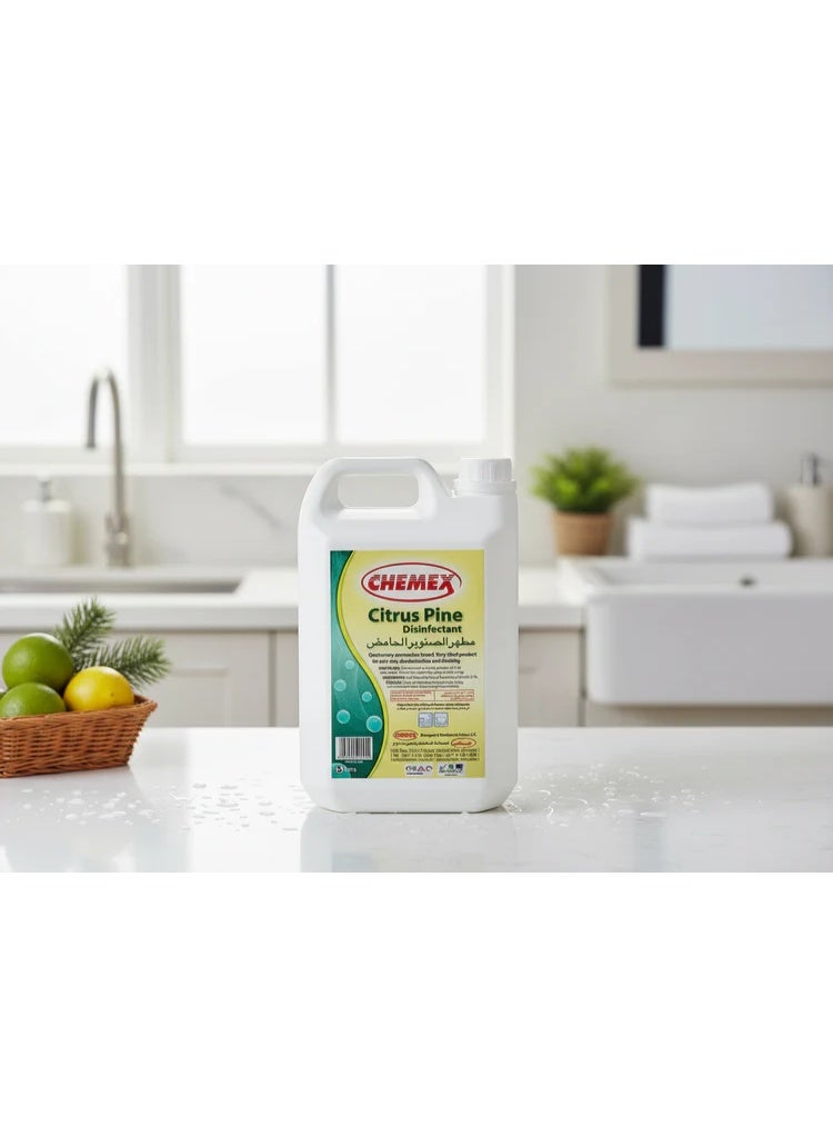 Chemex Citrus Pine Disinfectant Cleaner 5L - Image 2