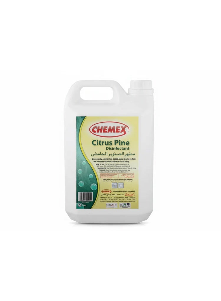 Chemex Citrus Pine Disinfectant Cleaner 5L - Image 1