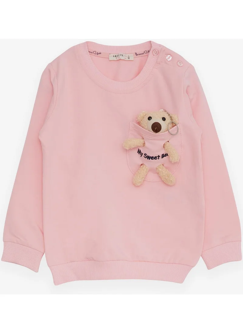 Breeze Girl's Sweatshirt with Teddy Bear Accessory, Age 1.5-5, Pink