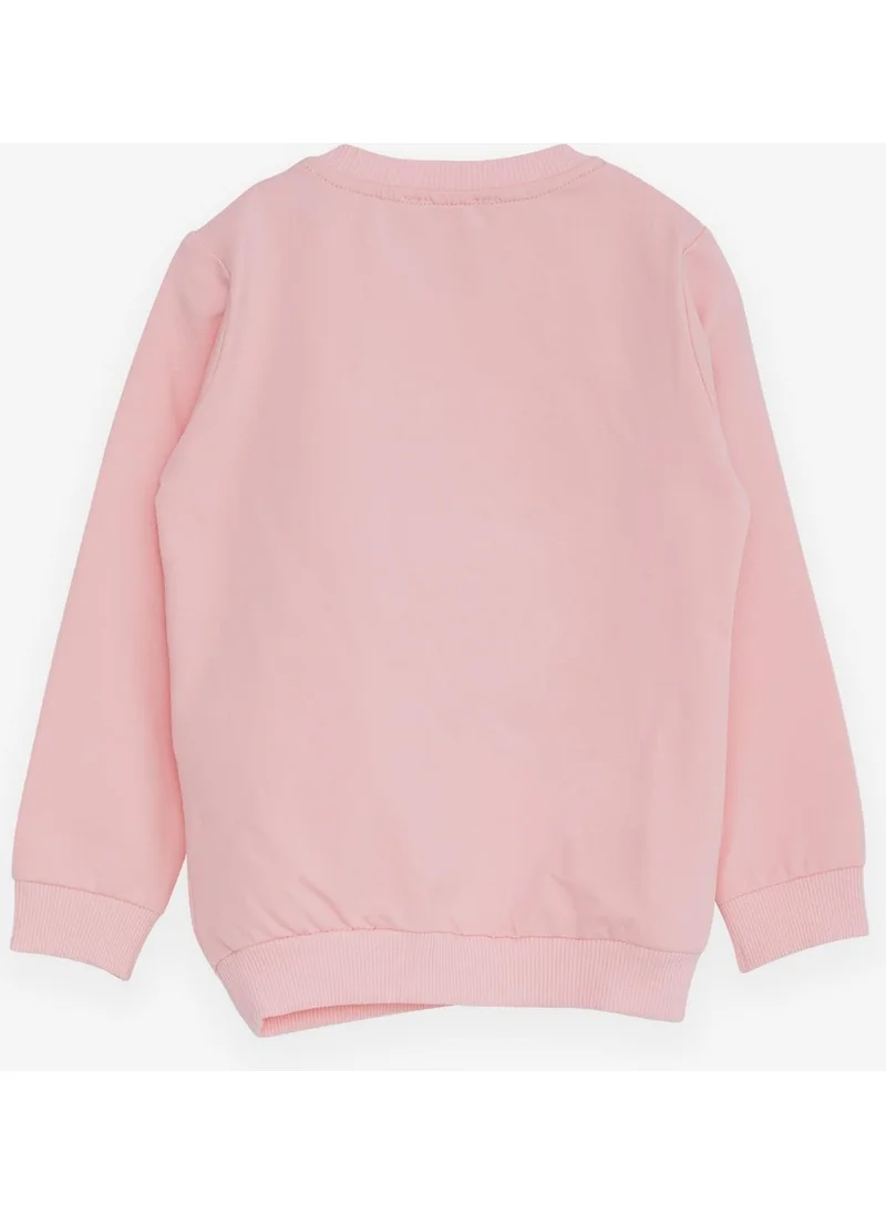 Breeze Girl's Sweatshirt with Teddy Bear Accessory, Age 1.5-5, Pink