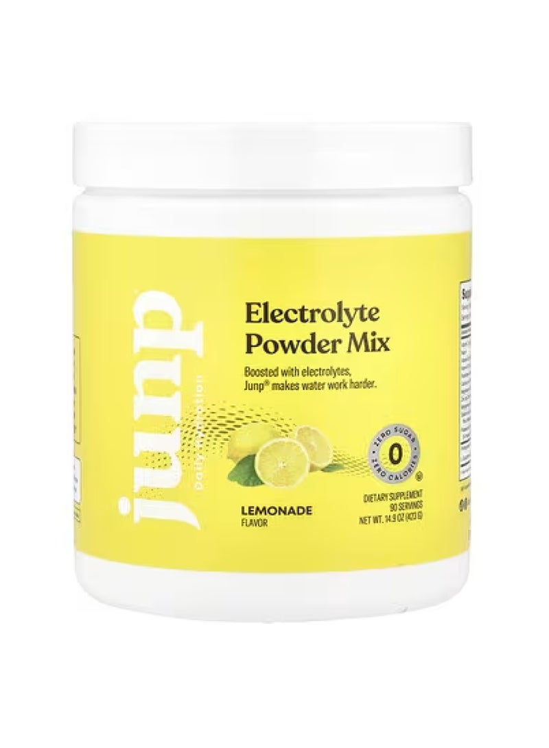 Electrolyte Powder Mix, Lemonade, 14.9 oz (423 g)
