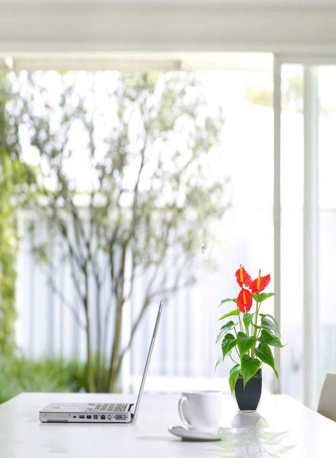 Beebel Artificial Flower Calla Lily Faux Small Potted Plant with Black Pot Fake Bonsai Flower for Home, Office, Indoor and Outdoor Occasions Decor (Red Fake Flower) - Image 3