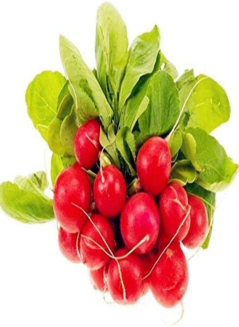 GGOOT Cherry Radish Vegetable Seeds for Home Garden 50Pcs; Color1 - Image 1