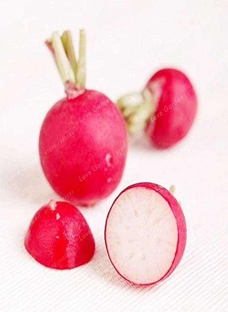 GGOOT Cherry Radish Vegetable Seeds for Home Garden 50Pcs; Color1 - Image 2