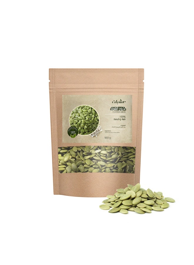 oshbat Pumpkin Seeds - 500 g - Image 1