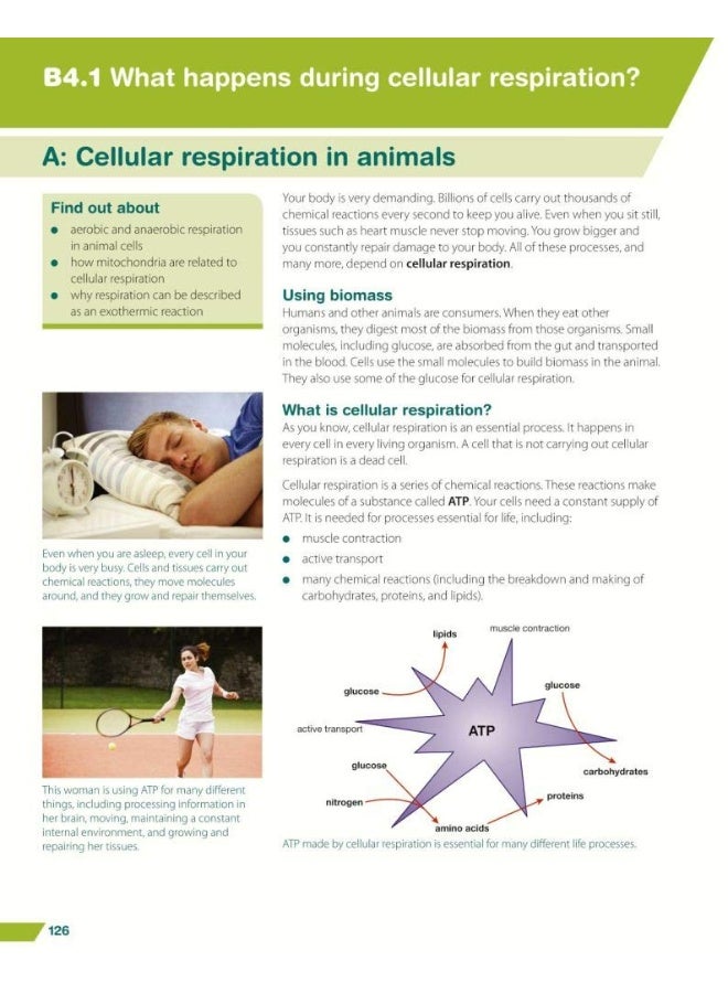 Twenty First Century Science:: GCSE Biology Student Book - Image 2