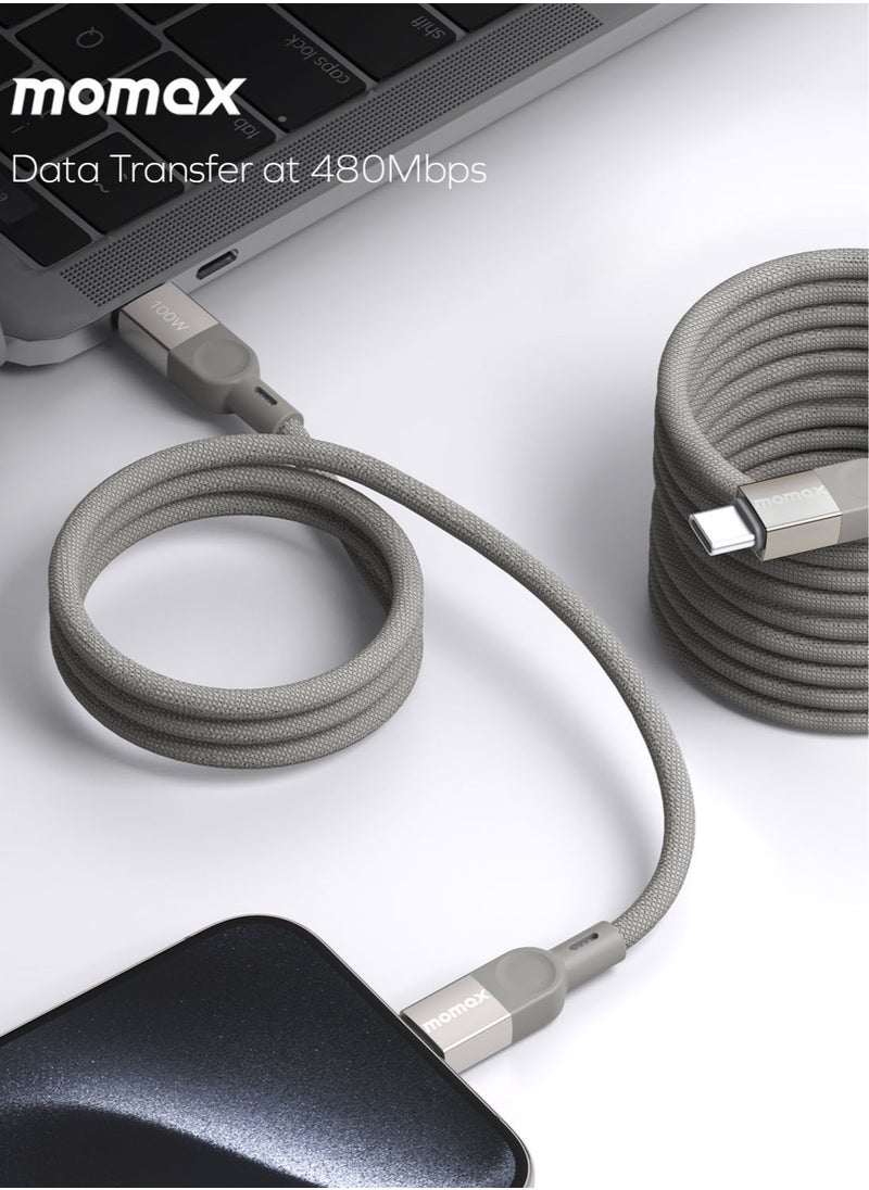 Momax - Momax Elite MAG Link 100W USB-C to USB-C Magnetic Cable [2 Meter] - Titanium - Image 1