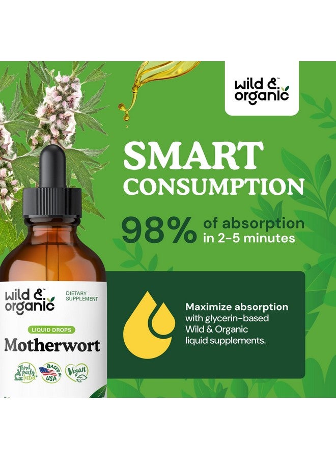 Wild & Organic Motherwort Tincture - Good Mood, Calmness, Overall Support - Supplements for Women with Motherwort Herb - Vegan, Sugar & Alcohol-Free Extract Drops - 4 fl oz - Image 4