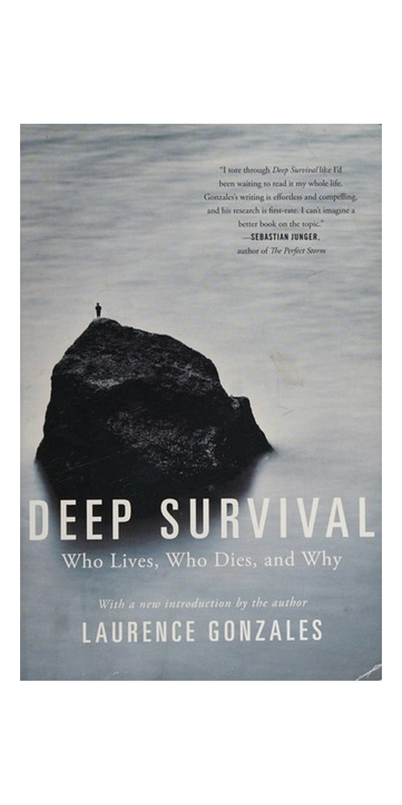 Deep Survival: Who Lives, Who Dies, and Why - Image 2