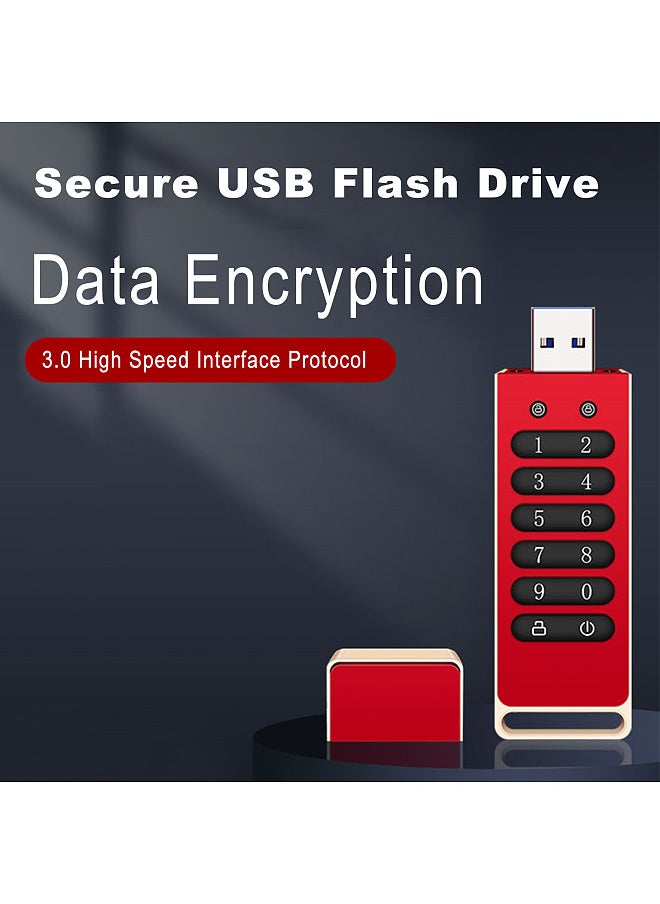 Encrypted USB Drive Secure USB Flash Drive 32GB / 64GB / 128GB / 256GB AES256-bit USB 3.0 Hardware Password Memory Stick Automatic Lock for Personal Protection Aluminum Alloy Shell