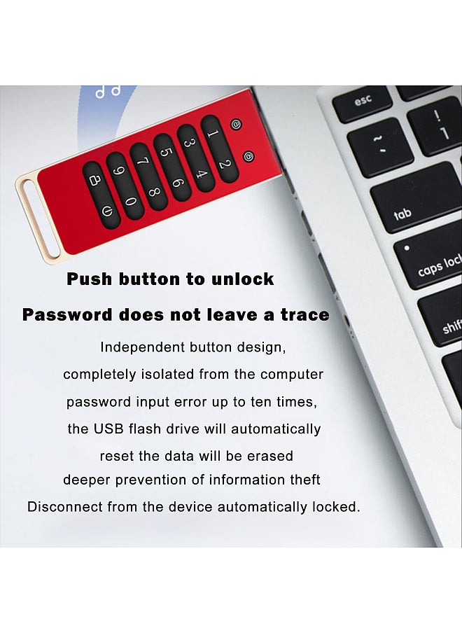 Encrypted USB Drive Secure USB Flash Drive 32GB / 64GB / 128GB / 256GB AES256-bit USB 3.0 Hardware Password Memory Stick Automatic Lock for Personal Protection Aluminum Alloy Shell