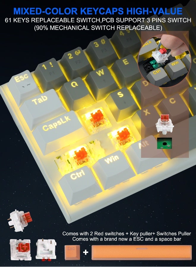 60% Wired Mechanical Gaming Keyboard with Red Switches, LED Backlit, Ultra-Compact Computer Keyboard for PS4/5, Windows, Mac OS (Grey White) - Image 5