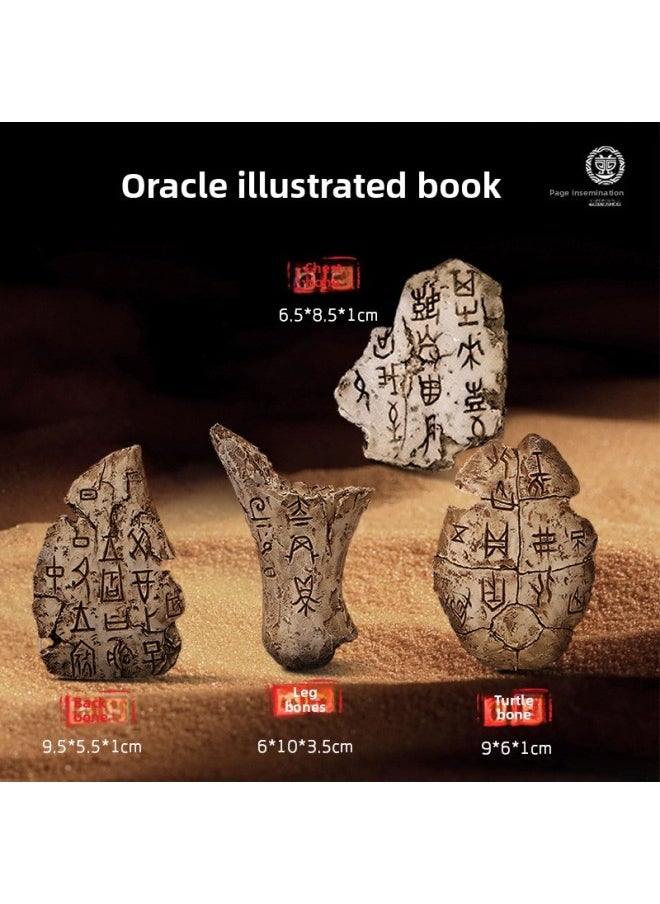 Museum Archaeological Digging Fossil Blind Box Simulation Oracle Bone-inscriptions Digging Treasure Research Science Education Educational Toys Tide Play Ornaments-Color:Boxed Large Oracle C  - Image 4