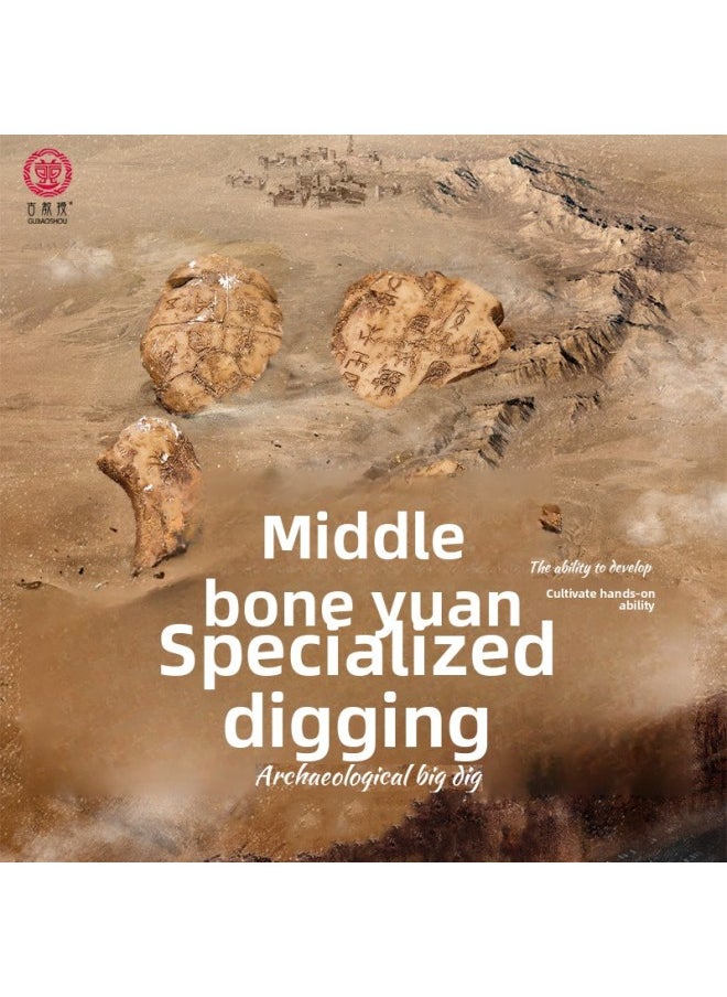 Museum Archaeological Digging Fossil Blind Box Simulation Oracle Bone-inscriptions Digging Treasure Research Science Education Educational Toys Tide Play Ornaments-Color:Boxed Large Oracle C  - Image 3