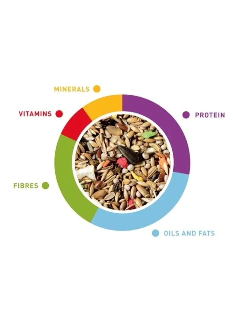 بادوفان علف جراند ميكس كارديليني الكامل، متعدد الألوان، 800 غرام - Image 2