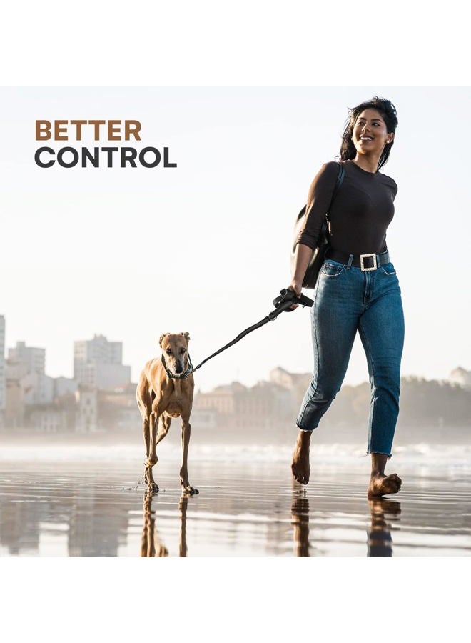 Black Rhino طوق كلب ثقيل - طوق بطول 6 أقدام للكلاب المتوسطة والكبيرة - طوق تدريب بمقبض مزدوج مع قبضة مبطنة، حقيبة، خياطة عاكسة، ومقاوم للعوامل الجوية - Image 3