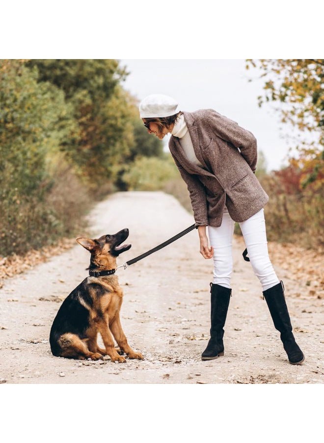 Black Rhino طوق كلب ثقيل - طوق بطول 6 أقدام للكلاب المتوسطة والكبيرة - طوق تدريب بمقبض مزدوج مع قبضة مبطنة، حقيبة، خياطة عاكسة، ومقاوم للعوامل الجوية - Image 5