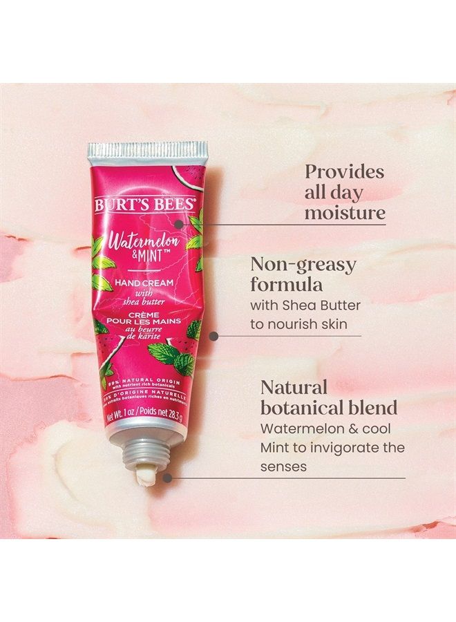Burt's Bees Mothers Day Gifts for Mom, 3 Self Care Products, You're One in a Melon - Watermelon & Mint Hand Cream, Watermelon Lip Balm & Watermelon Rush Squeezy Tinted Lip Balm (Packaging May Vary)  - Image 3