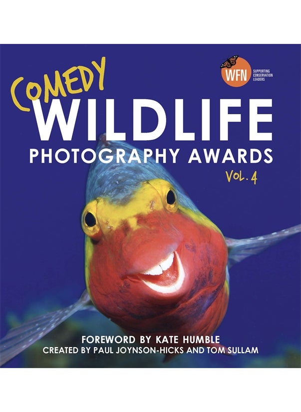 null - Comedy Wildlife Photography Awards Vol. 4 - Image 1