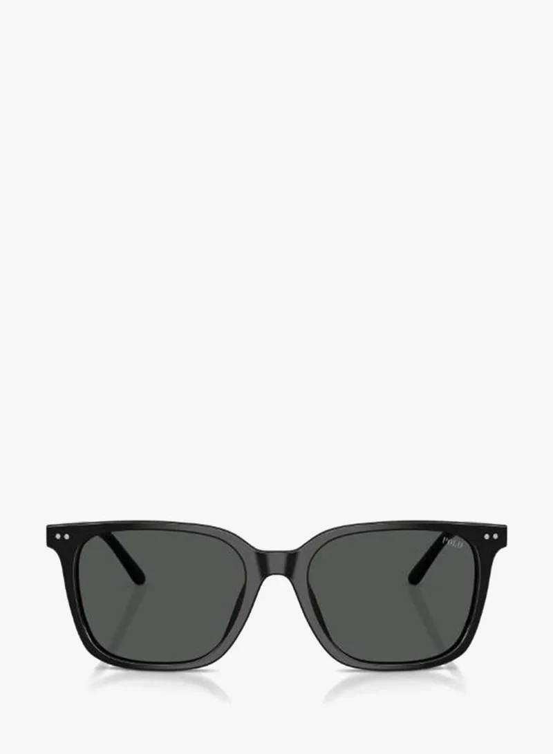 Polo Ralph Lauren  0PH4235U Square sunglasses for Men | Best Price UAE