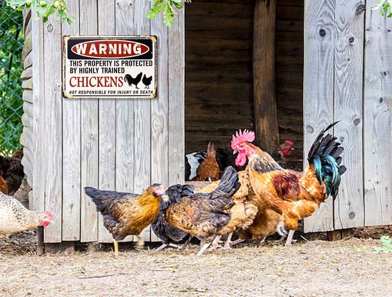 Bestylez Funny Chicken Coop Sign - "Warning: Property Protected by Chickens" Decorative Metal Sign for Farm, Home, or Garden 12" * 8" (219) - Image 4