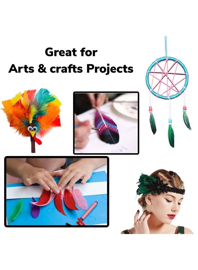ألازكو 120 قطعة من ريش الأوز الملون، ريش طبيعي للحرف اليدوية بأحجام متنوعة من 6 إلى 9 بوصة باللون الأحمر والأصفر والأزرق والأخضر والبرتقالي والأرجواني - Image 3